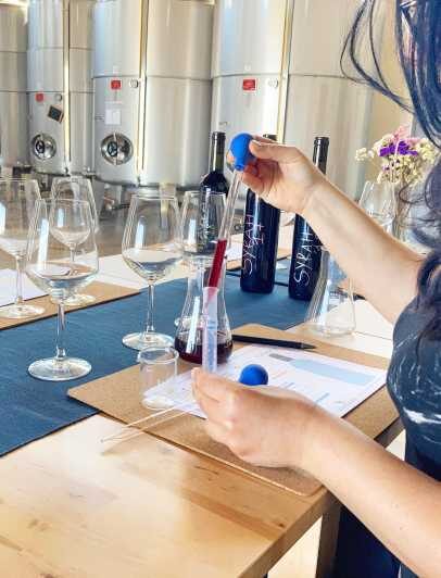 Alcamo: Create your personal blend of wine - Final Thoughts: Is This Tour for You?