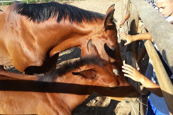 Alcamo Farm Animals and Aromatic Garden - What Do Reviewers Say?