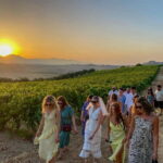 Alcamo: Natural Wine & Olive Oil Tasting - Sicily - Who Should Consider This Tour?