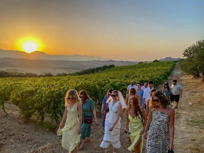 Alcamo: Natural Wine & Olive Oil Tasting - Sicily - Who Should Consider This Tour?