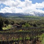 Alcantara Food & Wine Day Tour (Private Experience) - Why You Should Consider This Tour