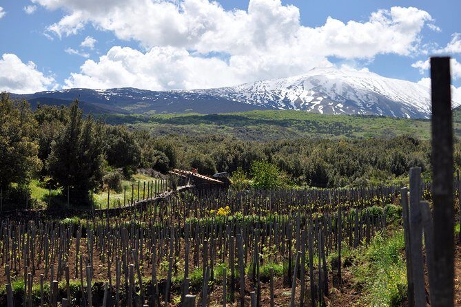 Alcantara Food & Wine Day Tour (Private Experience) - Why You Should Consider This Tour
