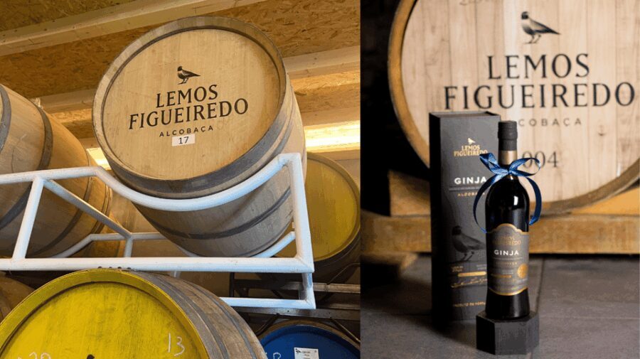 Alcobaça: Visit to the Lemos Figueiredo Winery and Distillery - Who Will Appreciate This Tour?