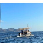Alcudia & Pollensa Private Boat Tour, Captain, Fuel, Snorkel - Why This Tour Works