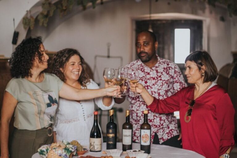 Alentejo: Visit and Taste the tradition of Talha Wines - An In-Depth Look at the Talha Wine Experience