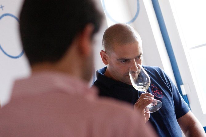 Alentejo Wine Tour from Évora - Who Is This Tour Best Suited For?