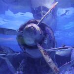 Alexander Waterfall and Antalya Aquarium Day Tour from Side - What Makes This Tour Stand Out?