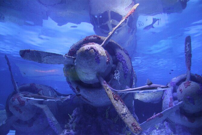 Alexander Waterfall and Antalya Aquarium Day Tour from Side - What Makes This Tour Stand Out?