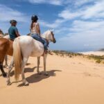 Algarve: 1-Hour Carrapateira Horseback Riding Tour - Exploring the Carrapateira Horseback Riding Experience