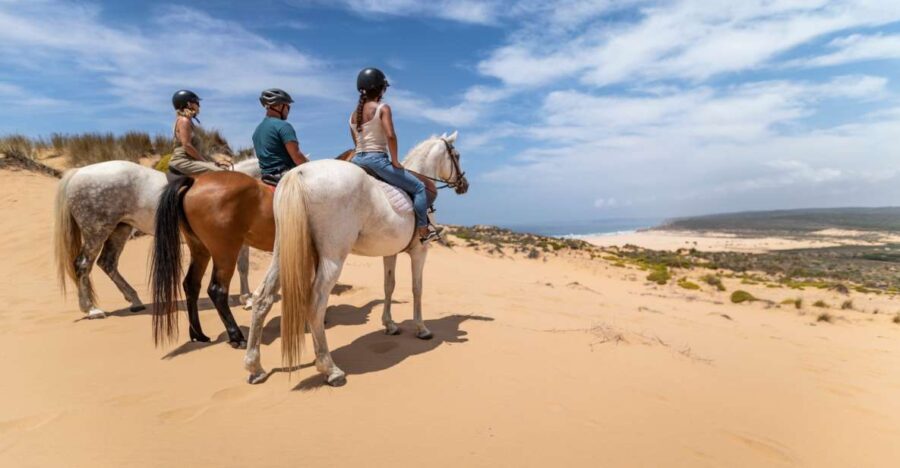 Algarve: 1-Hour Carrapateira Horseback Riding Tour - Exploring the Carrapateira Horseback Riding Experience