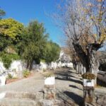 Algarve: Caldeirão Mountains and Villages Tour - Exploring the Algarve’s Hidden Gems: A Detailed Review