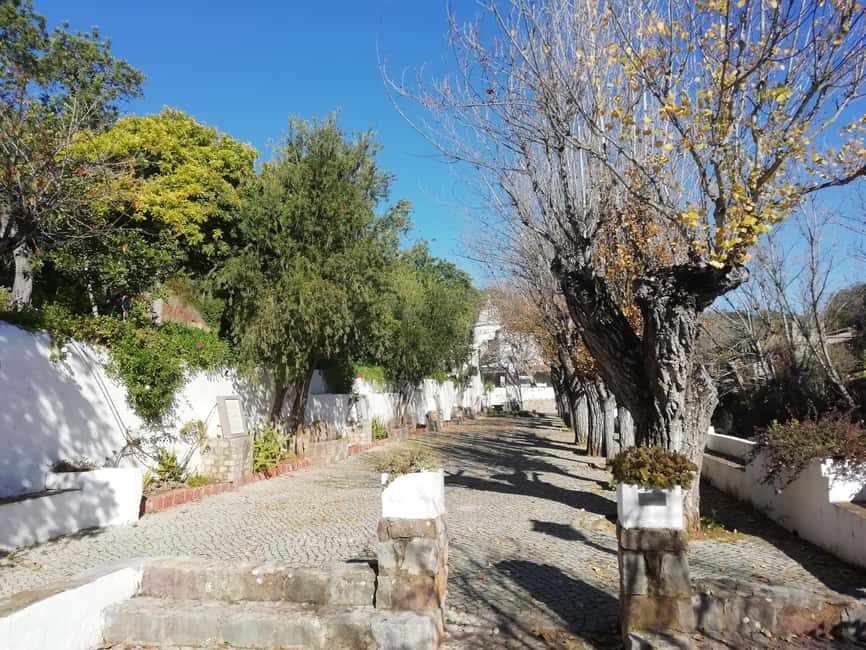 Algarve: Caldeirão Mountains and Villages Tour - Exploring the Algarve’s Hidden Gems: A Detailed Review