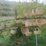 Algarve: Flavors and Traditions Tour - Why This Tour Offers Great Value