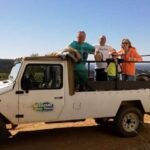 Algarve Full-Day Jeep Safari Tour with Lunch - A Detailed Look at the Algarve Full-Day Jeep Safari
