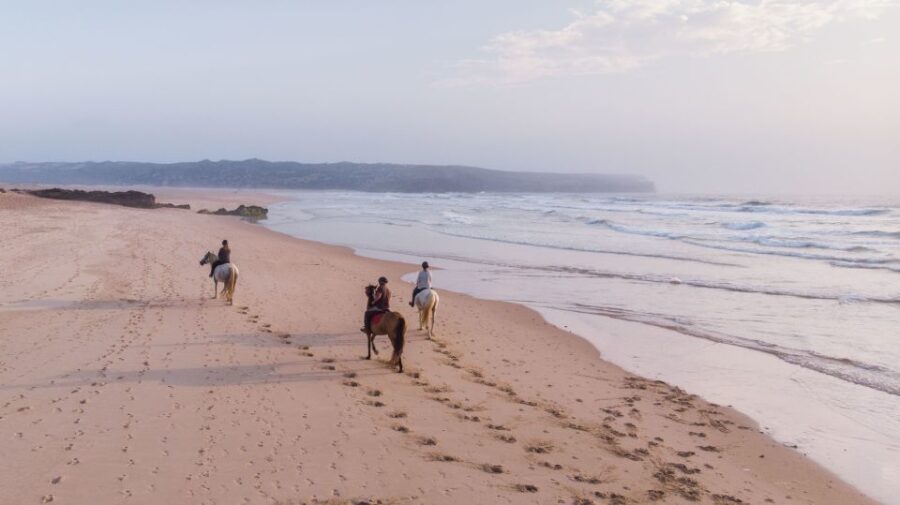 Algarve: Horse Riding Beach Tour at Sunset or Morning - The Overall Experience and Value