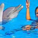 Algarve: Zoomarine Amusement Park Entry Ticket - Getting the Most Out of Your Visit