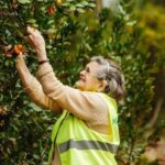 ALGARVE'S ARBUTUS BERRY TRAIL - An In-Depth Look: What to Expect on the Algarves Arbutus Berry Trail