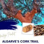 ALGARVE'S CORK TRAIL - Discovering Traditional Algarve at Museu do Trajo