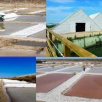 ALGARVE'S SALT TRAIL - An In-Depth Look at Algarve’s Salt Trail Experience
