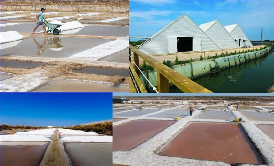 ALGARVE'S SALT TRAIL - An In-Depth Look at Algarve’s Salt Trail Experience