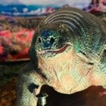 Alghero: Discover dinosaurs in Porto Conte Park - What You Can Expect During the Tour