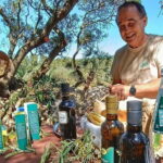 Alghero: Olive Grove Visit with Olive Oil Tasting - The Itinerary in Detail