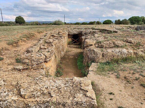 Alghero: private archaeological tour (TRANSFER INCLUDED) with local guide - Why This Tour Is a Great Value