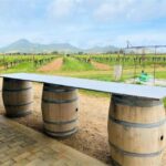 Alghero: wine tasting w/ local aperitif in the vineyard - Final Thoughts: Is This Experience Worth It?