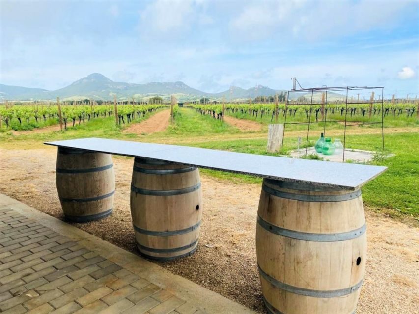 Alghero: wine tasting w/ local aperitif in the vineyard - Final Thoughts: Is This Experience Worth It?