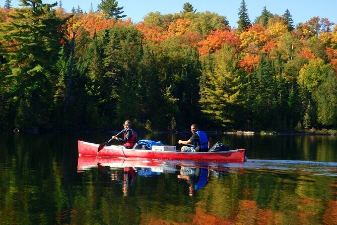 Algonquin Park 4-Day Deluxe Camping & Canoeing Adventure - The Value: What Makes This Tour Stand Out?
