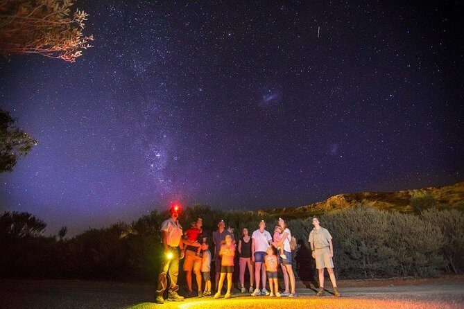 Alice Springs Desert Park Nocturnal Tour - Frequently Asked Questions