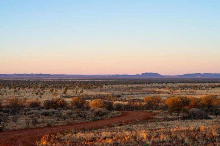 Alice Springs: Red Centre Journey Tour with Morning Tea - Practical Details and Value Analysis