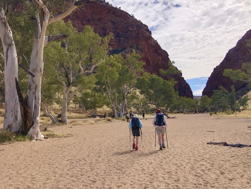 Alice Springs: Simpsons Gap Sunset Watercolor Painting Class - What Makes This Tour Stand Out