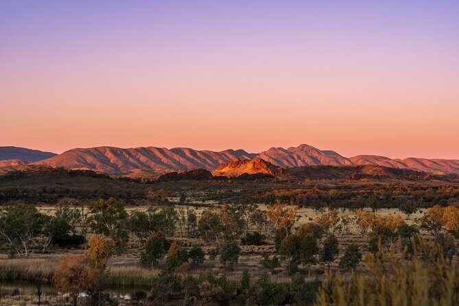 Alice Springs to Ross River Resort: A Self-Guided Outback Drive - A Deep Dive into the Outback Experience
