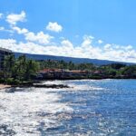 Ali'i Private Tour in Luxury Van - Who Would Love This Tour?