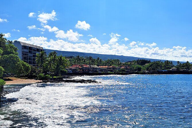 Ali'i Private Tour in Luxury Van - Who Would Love This Tour?