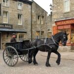 "All Creatures Great and Small" Private Tour from the Lake District - Who Should Book This Tour?