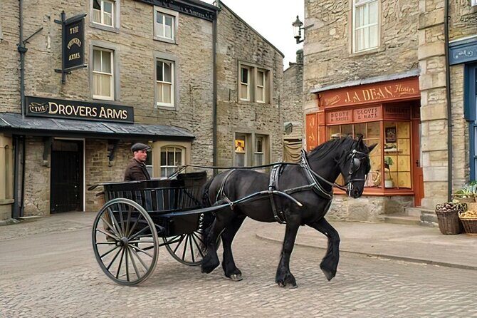 "All Creatures Great and Small" Private Tour from the Lake District - Who Should Book This Tour?