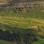 All Creatures Great & Small tour from York - What Travelers Say