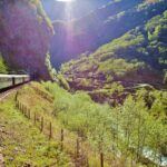 ALL ELECTRIC: Emission free tour to the World Heritage Fjords, 13 hours - What to Keep in Mind