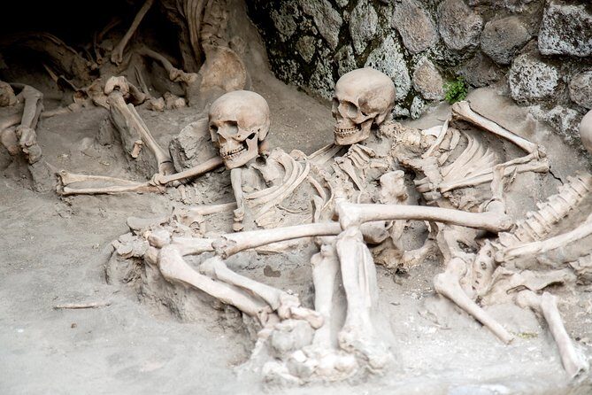 All inclusive Herculaneum Skip the Line Tour From Sorrento - Who Should Consider This Tour?