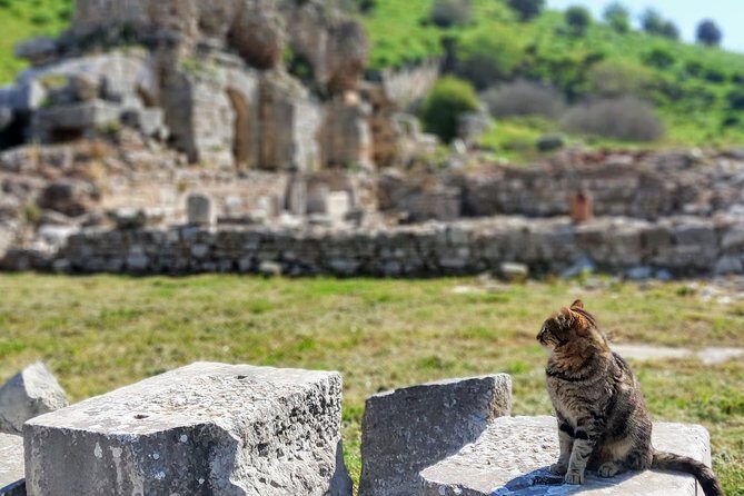 All Inclusive Private Ephesus Day Trip from Istanbul by Plane - Final Thoughts: Is This the Right Tour for You?