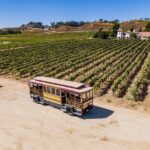 All-Inclusive Social Wine Tour - FAQs