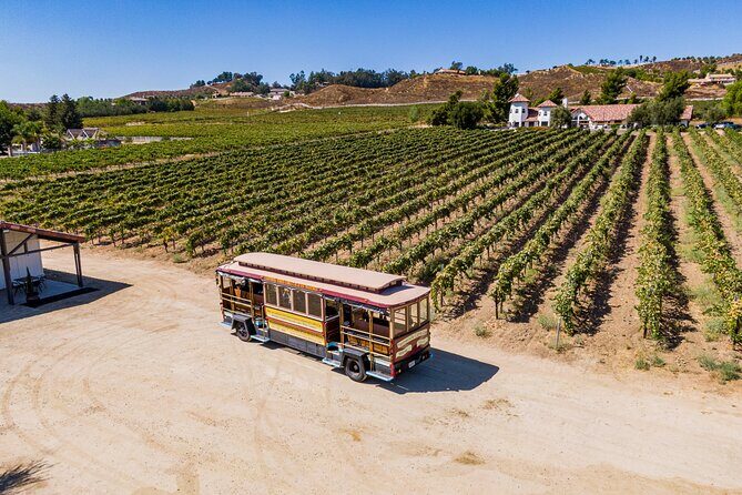 All-Inclusive Social Wine Tour - FAQs