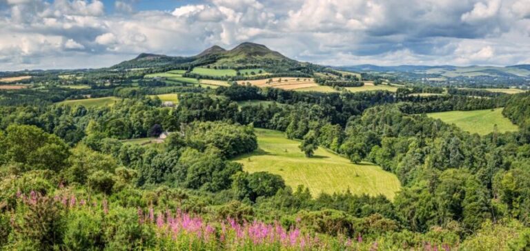 Alnwick Castle, Northumberland & Scottish Borders 1-Day Tour - A Deep Dive into the Northumberland & Scottish Borders Tour