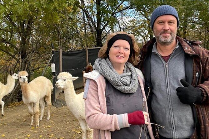 Alpaca and llama hike Moedling near Vienna - Practical Information