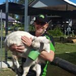 Alpaca Feeding with Wildlife & Nature Park VIP Private Tour - Who Is This Tour Best For?
