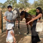 Alpaca Meet and Feed in Grândola - Who Will Love This Experience?