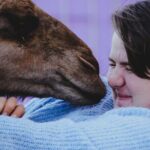Alpaca Meet and Greet Experience in Peterborough - Final Thoughts: Is It Worth It?