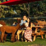 Alpaca Picnic Experience in Oregon - Why This Tour Offers Good Value